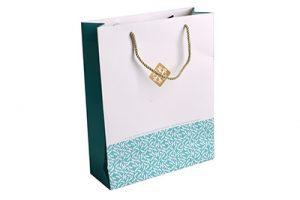 手提袋配金色绳 logo烫哑金