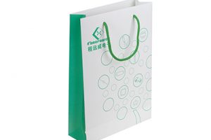 公司展会宣传手提袋 绿色绳子