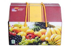 水果包装礼盒 带金黄色提手绳子，采用彩色印刷新鲜水果图案，裱加强瓦楞纸，两侧带透气孔