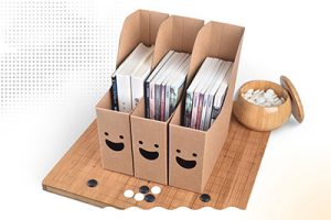 书立收纳盒 牛皮纸文件夹 档案存放